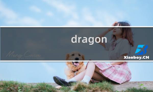 dragon village攻略