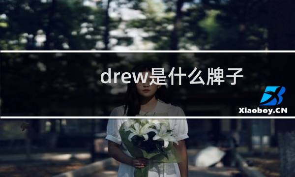 drew是什么牌子（drew是什么牌子）