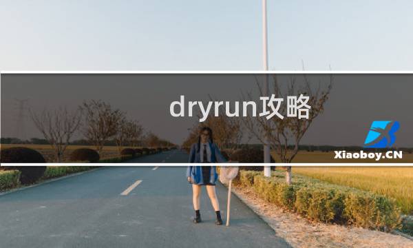 dryrun攻略