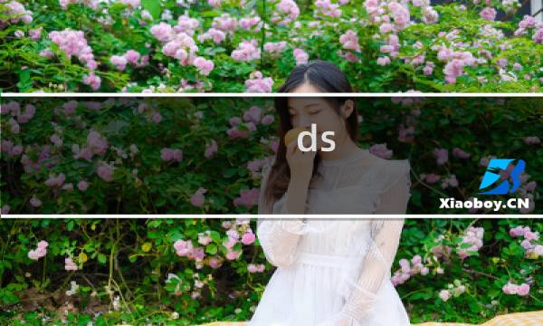 ds 龙珠 攻略