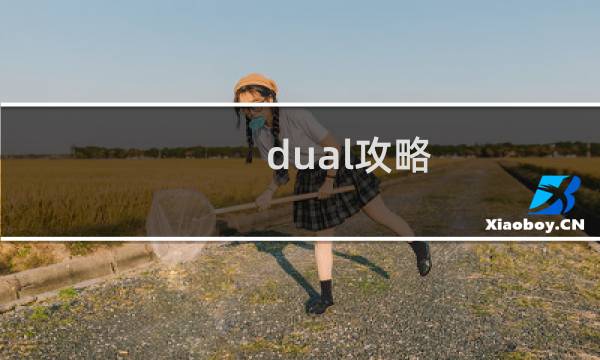 dual攻略