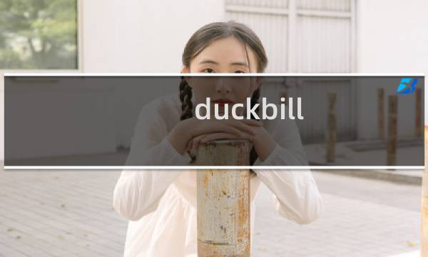 duckbill 衣服价格