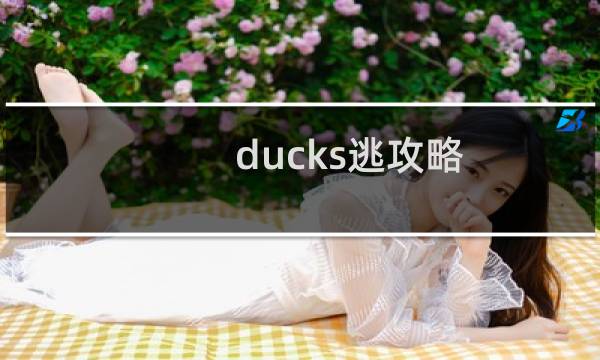 ducks逃攻略