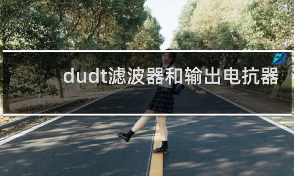 dudt滤波器和输出电抗器