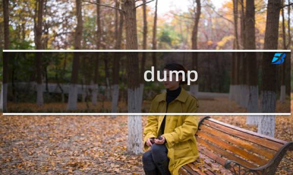 dump ways 攻略