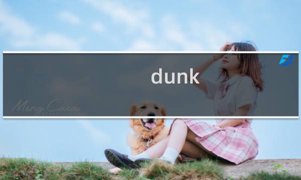 dunk line攻略