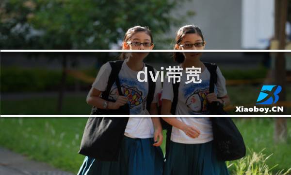 dvi带宽