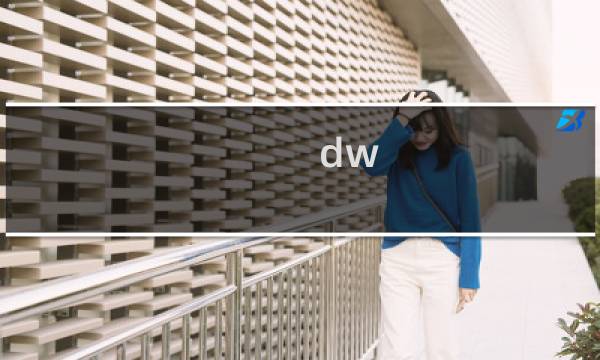 dw css意思