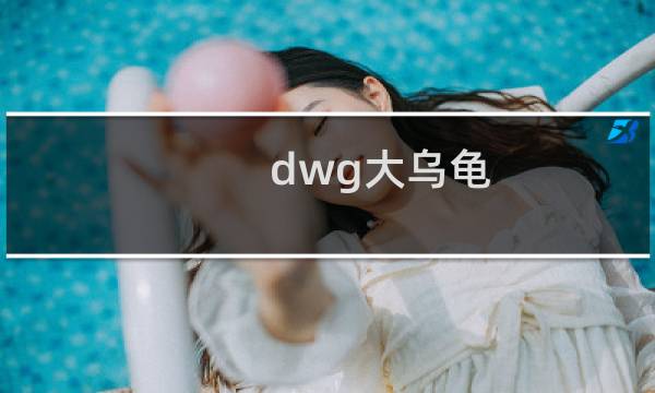 dwg大乌龟 dwg为什么叫大乌龟什么梗