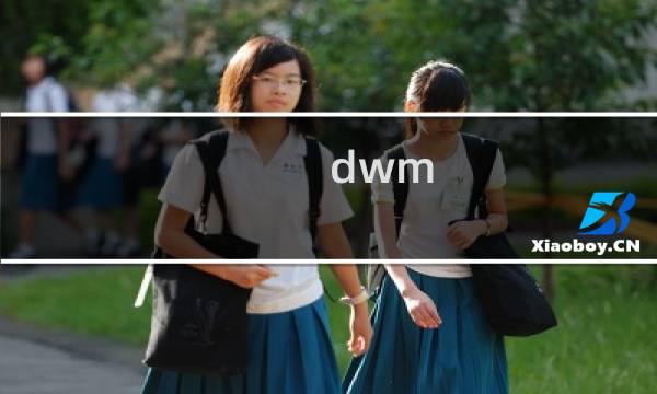 dwm.exe是什么进程（s24evmon.exe是什么进程）