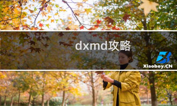 dxmd攻略