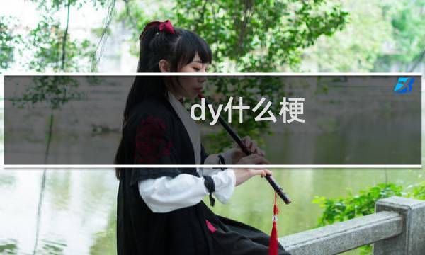 dy什么梗
