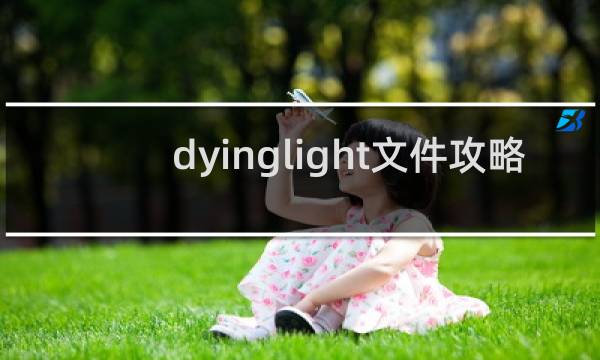 dyinglight文件攻略