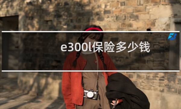 e300l保险多少钱图片