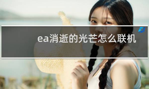 ea消逝的光芒怎么联机