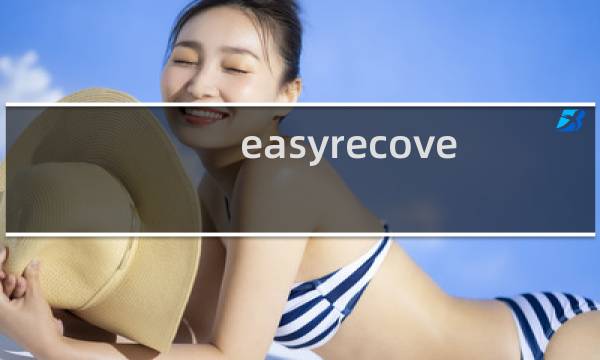 easyrecovery professional