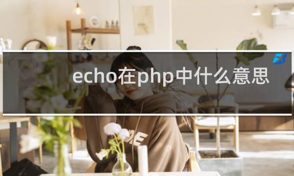 echo在php中什么意思