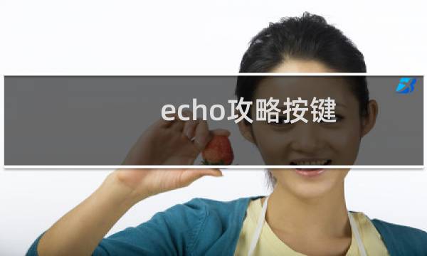 echo攻略按键
