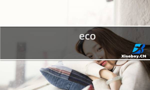 eco 攻略