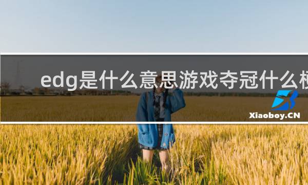 edg是什么意思游戏夺冠什么梗