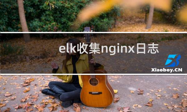 elk收集nginx日志