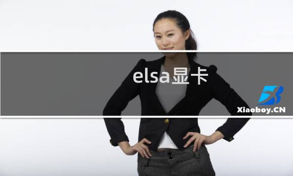 elsa显卡