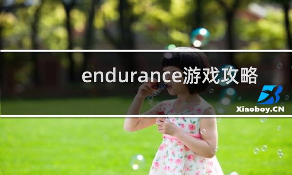 endurance游戏攻略