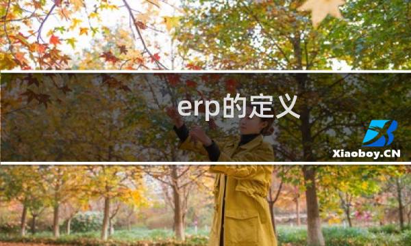 erp的定义