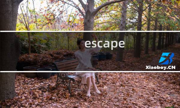 escape room英文攻略