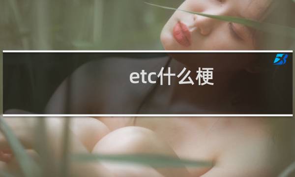 etc什么梗