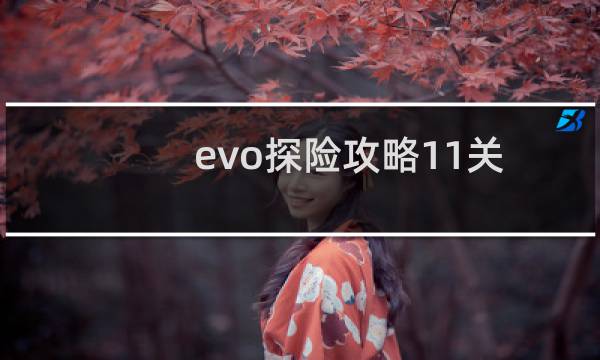 evo探险攻略11关