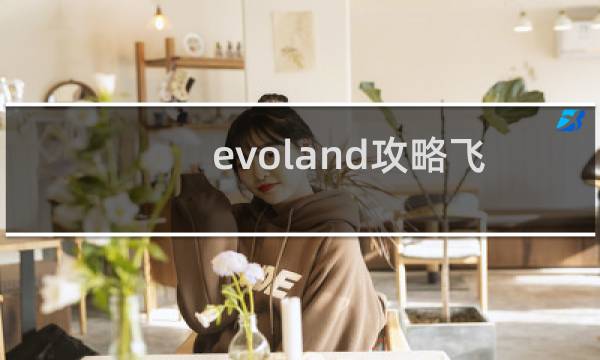 evoland攻略飞