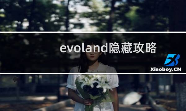 evoland隐藏攻略