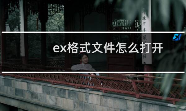 ex格式文件怎么打开（ex文件怎么打开）图片