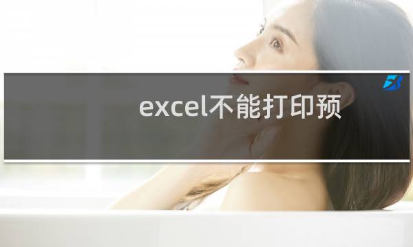excel不能打印预览以及进行页面设置该怎办?