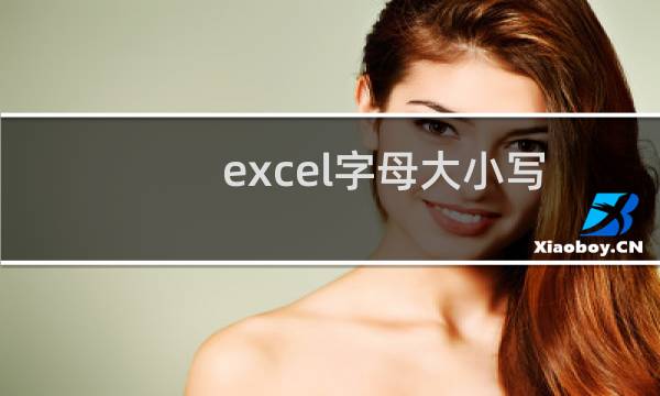 excel字母大小写转换