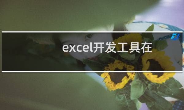 excel开发工具在哪里