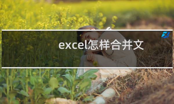 excel怎样合并文本