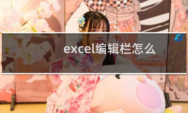 excel编辑栏怎么不显示公式?excel隐藏编辑栏公式的方法