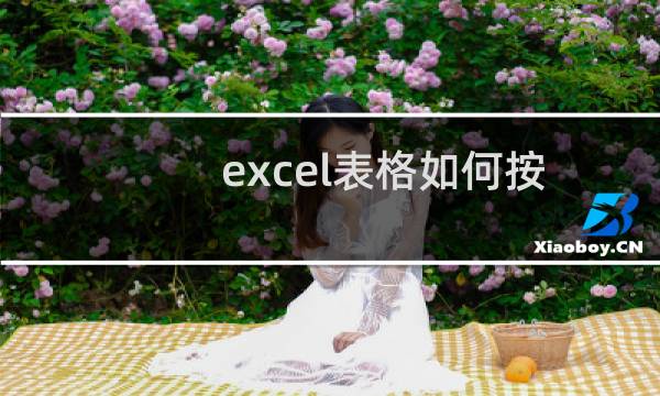 excel表格如何按照某一列排序
