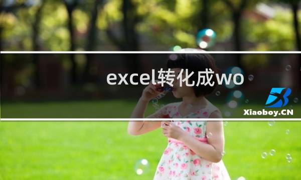 excel转化成word(如何将excel转换成word)