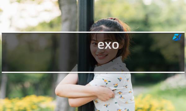 exo 微光攻略