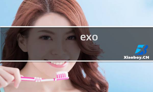 exo 1004 攻略