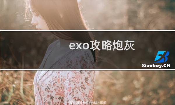 exo攻略炮灰