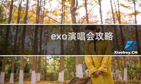 exo演唱会攻略