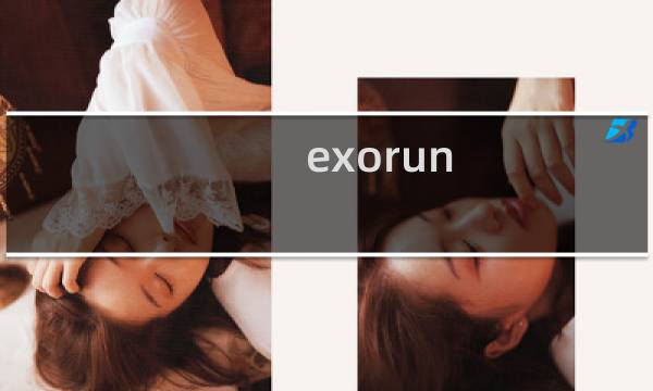 exorun 攻略