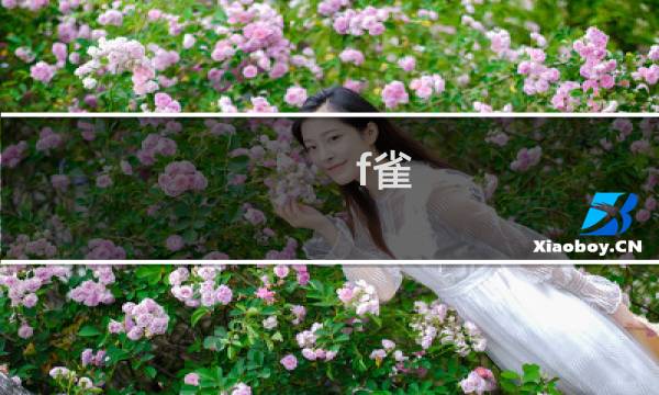 f雀 攻略