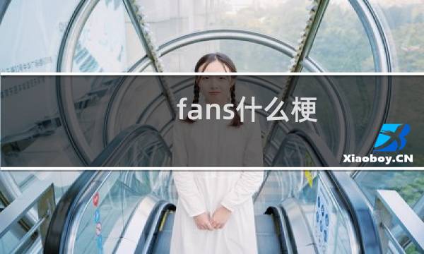 fans什么梗