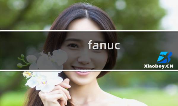 fanuc pmc 如何