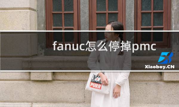 fanuc怎么停掉pmc